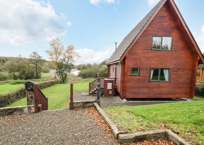 12 Cornadarragh 벨투르벳